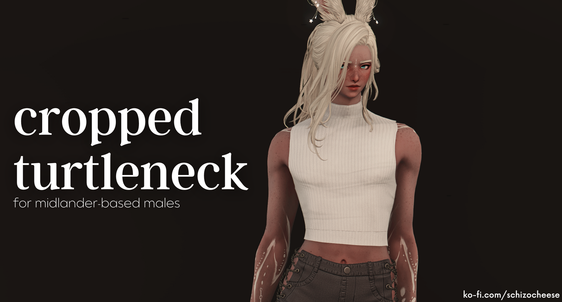 cropped-turtleneck-v2-tbse-slim-the-glamour-dresser-final