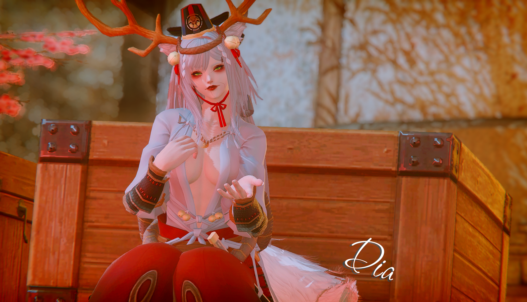Premium Content: Suzuka